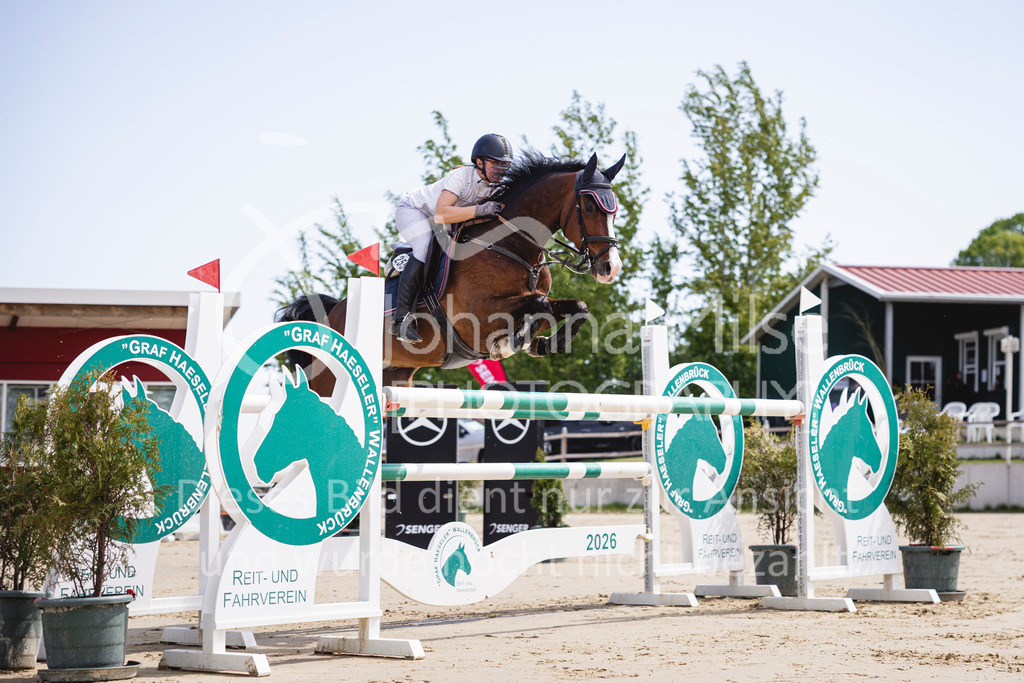 260502_Spenge_9_Youngster-M2-903 | Deine schönsten Turniermomente als professionelle Fotos! Entdecke hochwertige Pferdesport-Fotografie im Online-Shop. Jetzt Fotos finden & bestellen!