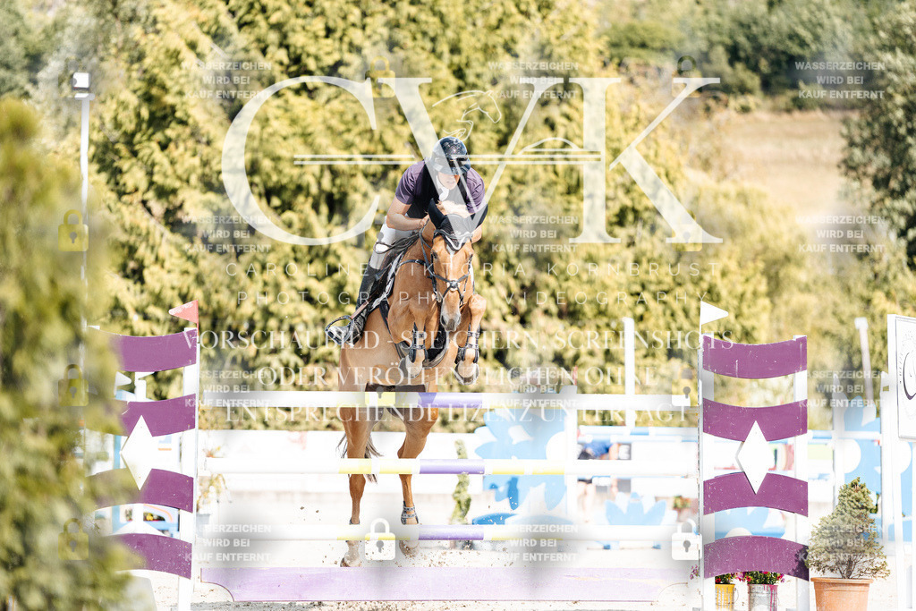 CK908962 | Turnierfotografie Pferdefotografie Trier Rheinland-Pfalz Pferdesport Reitsport Tierfotografie Sportfotografie Pferdevideo Pferdevideografie Equestrianvideography equestrianphotography  - Realisiert mit Pictrs.com