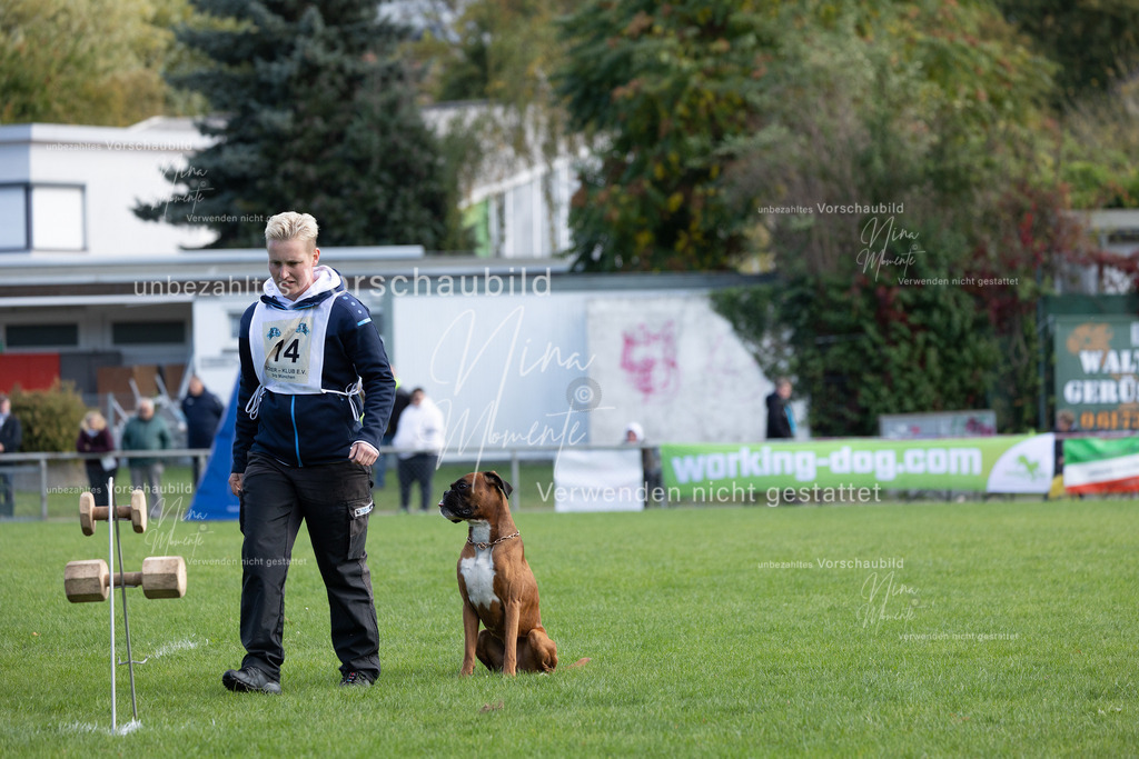 _16A6751 | Einzigartige Fotos von Hunden & Menschen –Actionfotos, Portraits, Vereinsaufnahmen & Paarshootings – authentisch, lebendig & mit Herz.