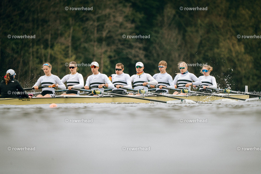 20251005_rowerhead_R040_S0624_DSC08345 | rowerhead - Realisiert mit Pictrs.com