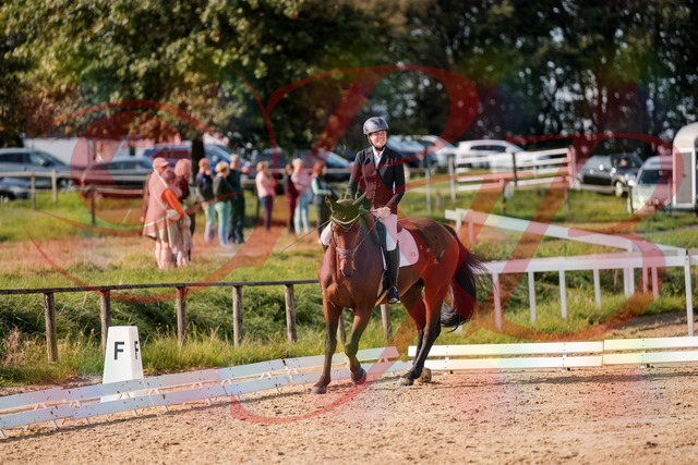 2026_10_03_Siefer-Hof_122707_Z63_48067062 | Professionelle Reitsport-, Turnier- und Eventfotografie von Robert Broda. Galerien mit ausgewählten und bearbeiteten Bildern direkt online ansehen und bestellen.