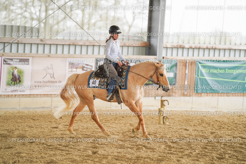 DSC03528 | Pferdegrafie