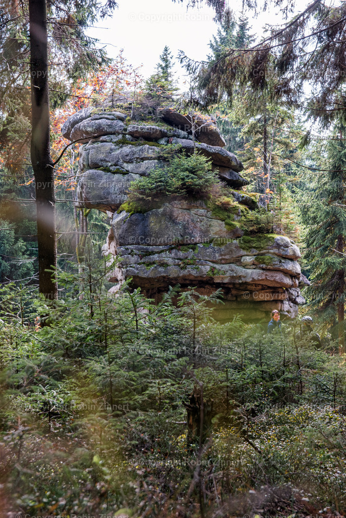 Ahornfels-4 | Robin Zinnert - Realisiert mit Pictrs.com