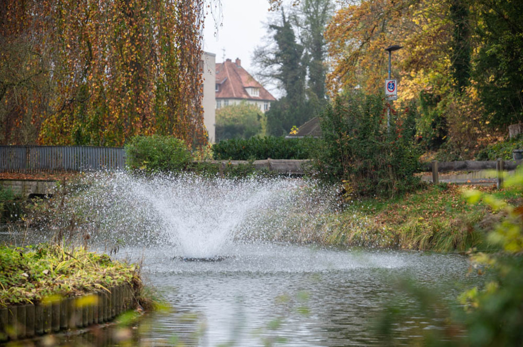 Gronau, Deutschland | Die schönsten Bilder für Ihre Räume online bestellen! In unseren Bildergalerien findet Sie alles was es für Ihre Räume braucht. Lassen Sie sich überraschen ☺️ - Realisiert mit Pictrs.com