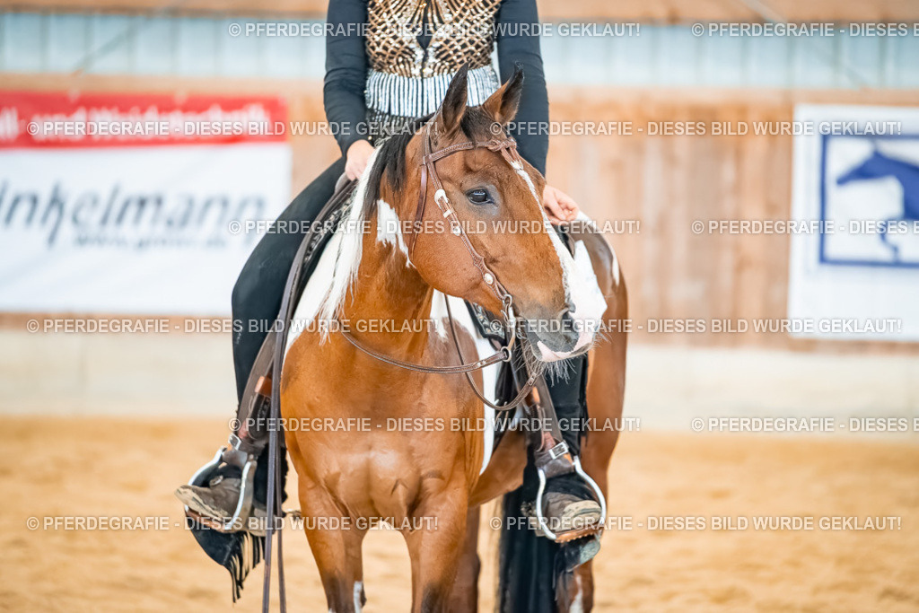 DSC00639 | Pferdegrafie