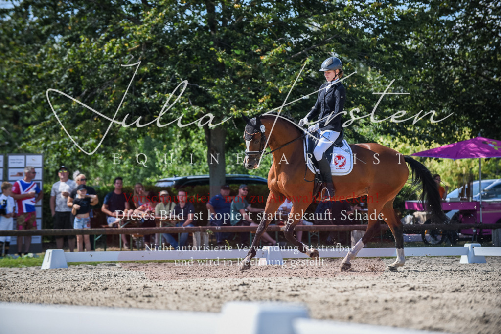 DSC_9500 | Pferde- und Turnierfotografie in Westsachsen. Pferdeportraits, Auftragszeichnungen und intuitive Kunst.