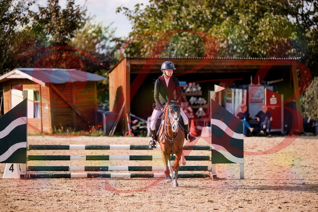 2026_10_03_Siefer-Hof_155806_Z81_77941860 | Professionelle Reitsport-, Turnier- und Eventfotografie von Robert Broda. Galerien mit ausgewählten und bearbeiteten Bildern direkt online ansehen und bestellen.
