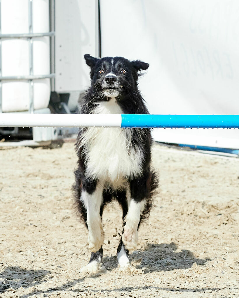 580B0103 | Peter Fridle Fotografie - Realisiert mit Pictrs.com