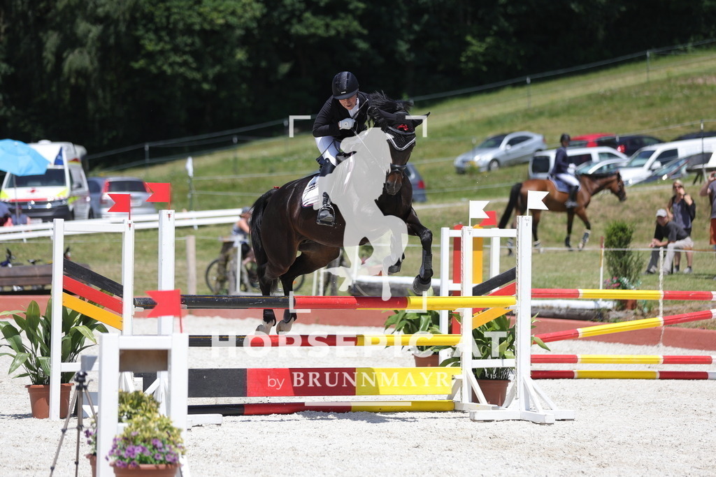 0P6A9102 | Willkommen bei Brunnmayr - Design & Fotografie – Ihrem Spezialisten für Reitturniere und Pferdeveranstaltungen in Oberösterreich, Salzburg und Bayern! Seit über 17 Jahren sind wir leidenschaftlich dabei.