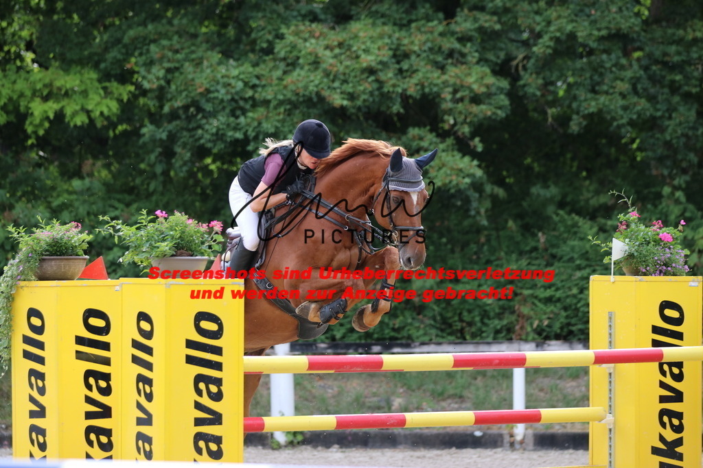 IMG_0911 | lmwpictures - Realisiert mit Pictrs.com