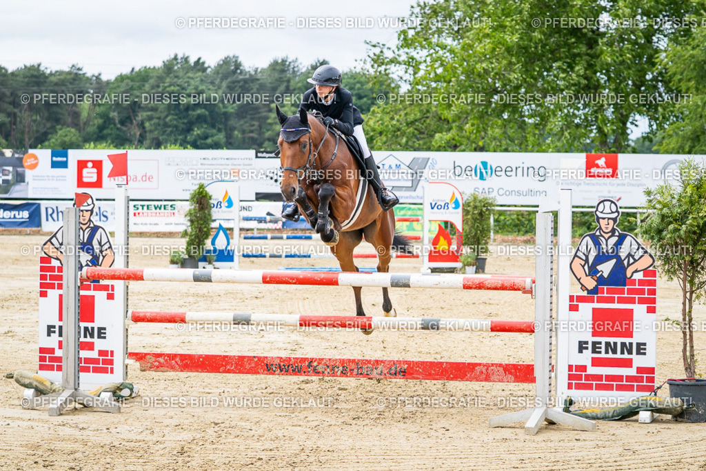 DSC05126 | Pferdegrafie