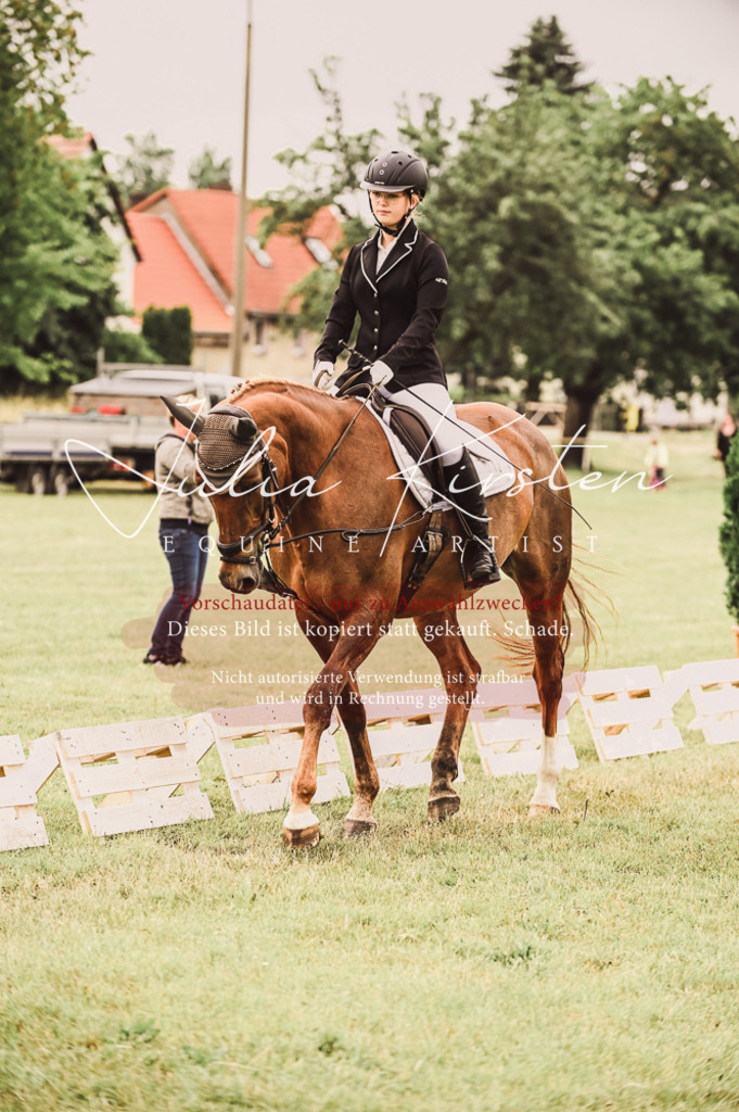 DSC_4837 | Pferde- und Turnierfotografie in Westsachsen. Pferdeportraits, Auftragszeichnungen und intuitive Kunst.