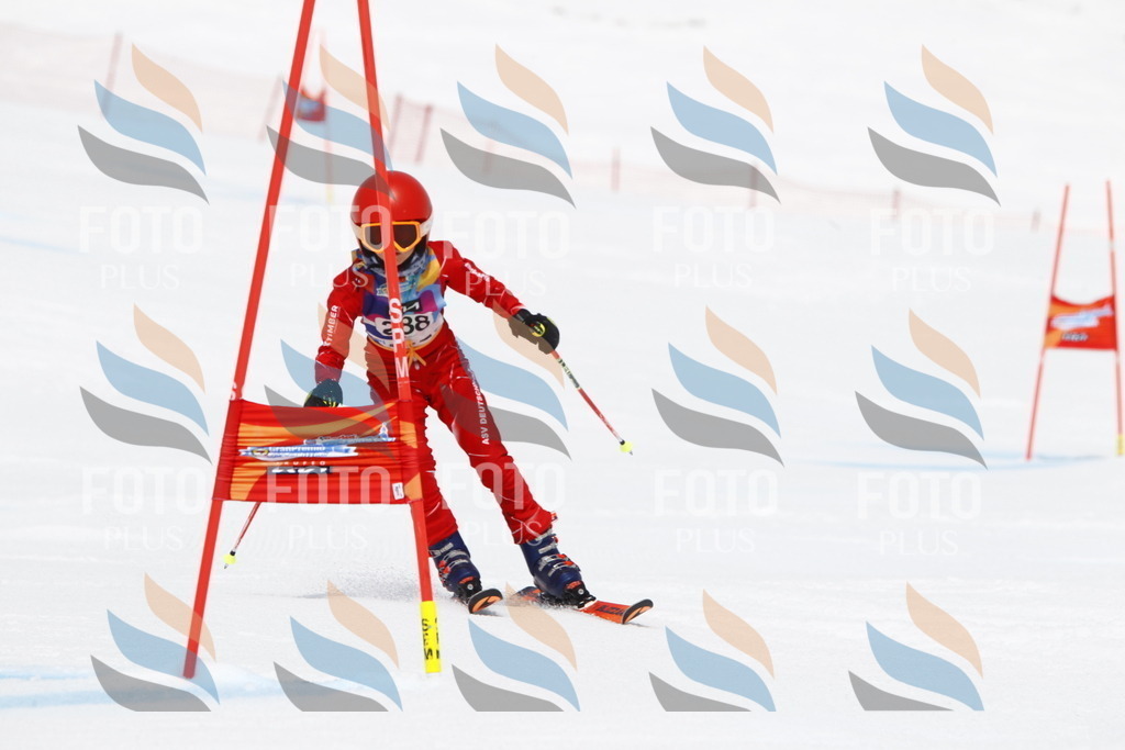 _U3G7219 | holidayphoto