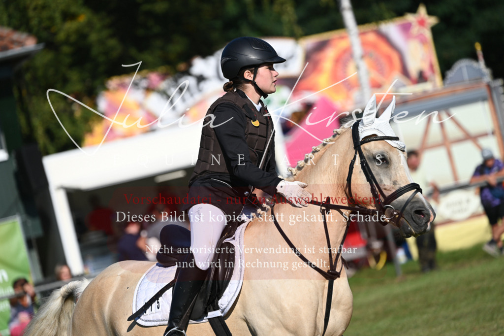 DSC_5048 | Pferde- und Turnierfotografie in Westsachsen. Pferdeportraits, Auftragszeichnungen und intuitive Kunst.
