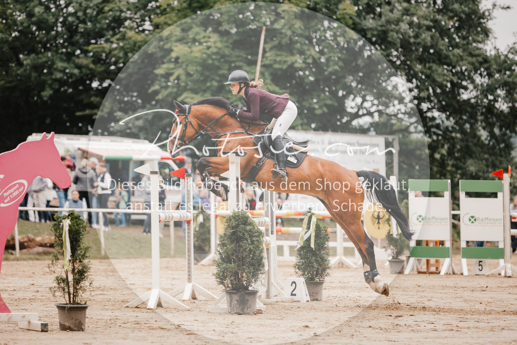 3I6A2197 | Stimmungsvolle Portraits und Reitsportfotografie im Ruhrgebiet und im Münsterland.

Pferdefotografie, Hundefotografie, Tierfotografie, Reportagen, Portraits von Tier und Mensch, Turnierfotografie in Bochum, Recklinghausen, Marl, Haltern am See, Dülmen.. - Realisiert mit Pictrs.com
