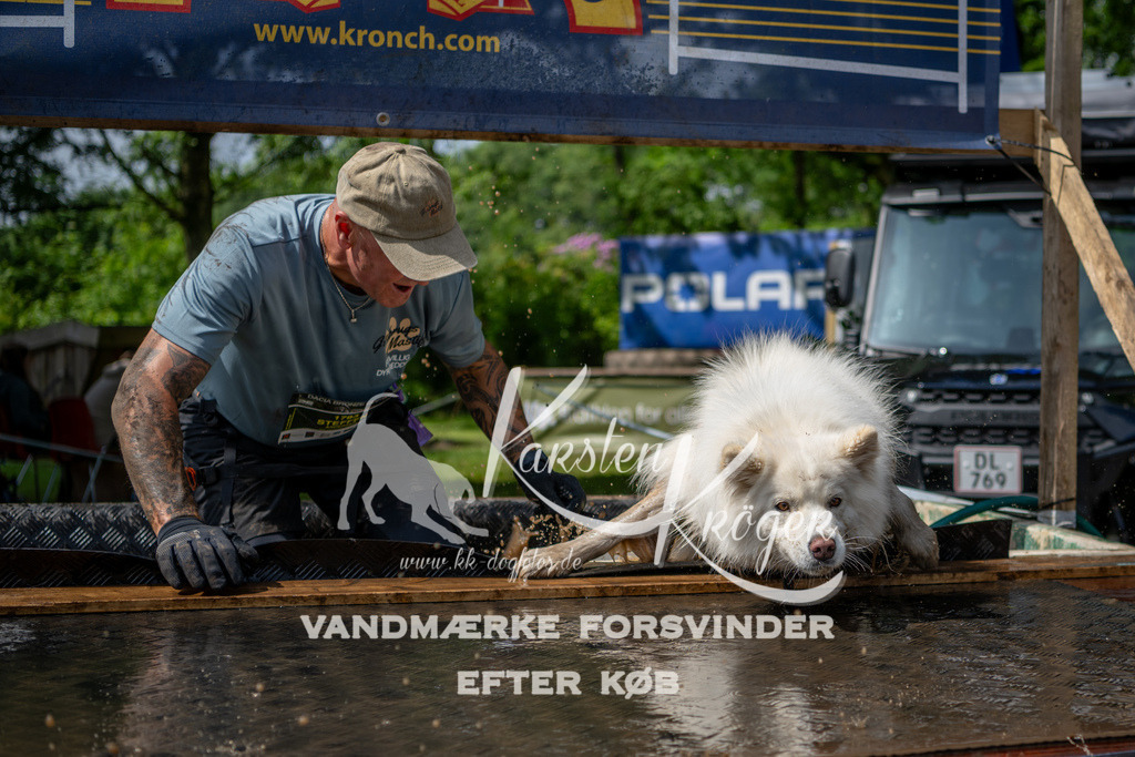 1105_ZZ92742 | kk-dogfotos