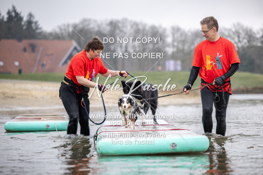 nelerasche_Hulsbeek_Sa1130-1230_86 | nelerasche
