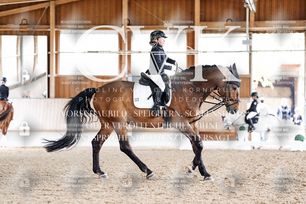 CK900821 | Turnierfotografie Pferdefotografie Trier Rheinland-Pfalz Pferdesport Reitsport Tierfotografie Sportfotografie Pferdevideo Pferdevideografie Equestrianvideography equestrianphotography  - Realisiert mit Pictrs.com