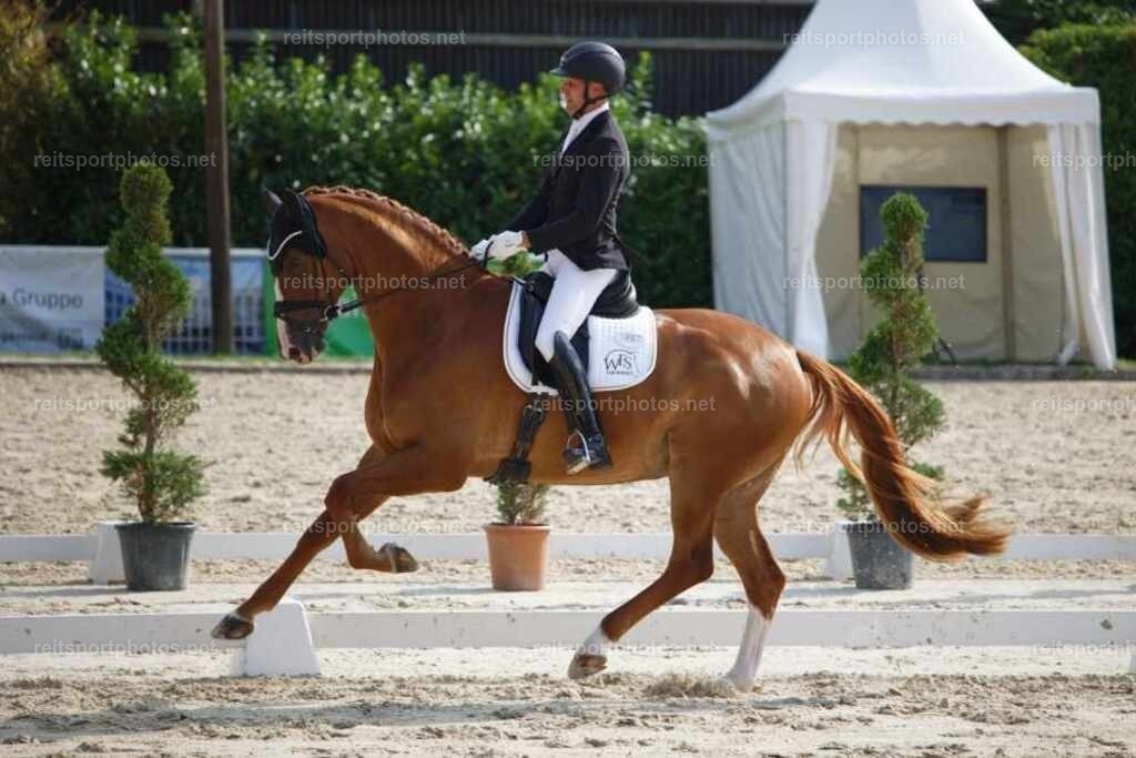 JHE_4479 | JoYa Fotografie - Realisiert mit Pictrs.com