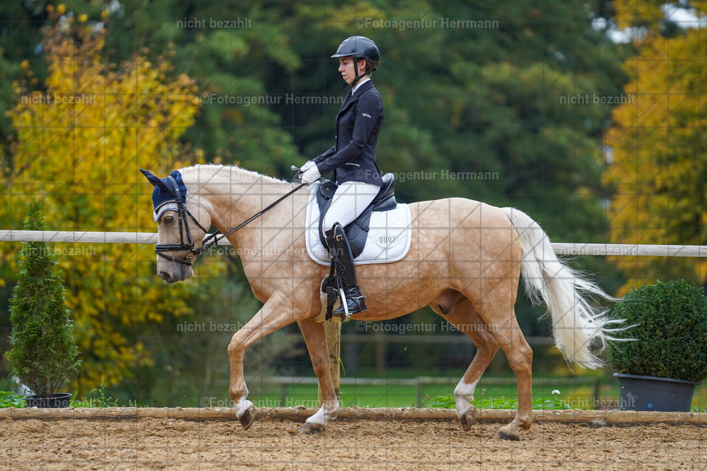 20221008-FAH01569 | Diessen am Ammersee, 2022, Dressur- und Springturnier, Reitsportbilder, Turnierfotografen Bayern, Pferdefotografen, Fotoagentur Herrmann, Turnierbilder