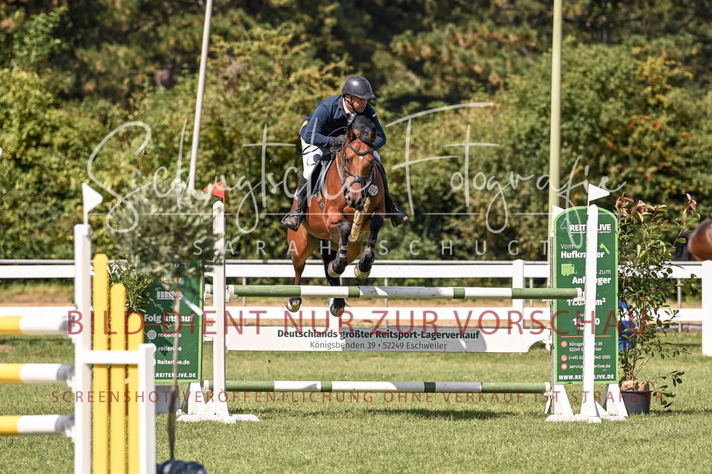 Schugtsche-Düren.2024-09.Springprf.L-25 | Schugtsche Fotografie - Realisiert mit Pictrs.com