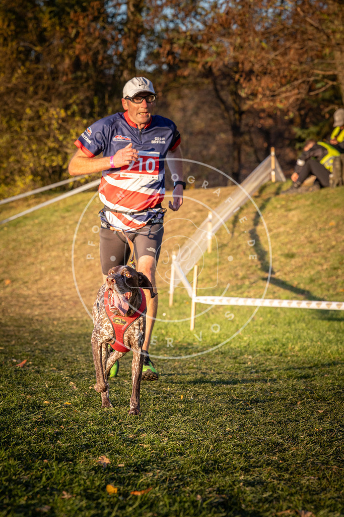 CaniXpix_0L8A1484 | Hundefotografie, Tierfotograf, Pfotenfotografie, Fotoshooting Hund, Hunde Portrait, Hundesport, Hundeportraits, Heideshooting, Hunde, Sportfotograf, Hundefotograf, Turnierhundsport, THS,  - Realisiert mit Pictrs.com