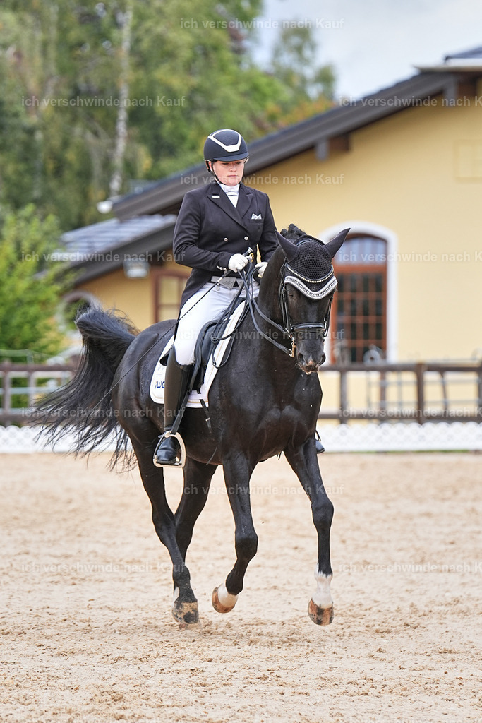 07-093-DRESSUR  S___  -Marixx-5141 | working equitationturnier fotograf videograf stoibphotography marixx film working equitation deutschland reitsport turnierfotografie eventfotografie equestrian events