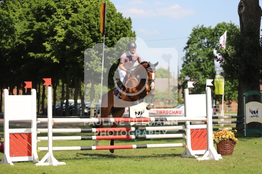 IMG_6523 | Pauline Ullmann Photography - Realisiert mit Pictrs.com