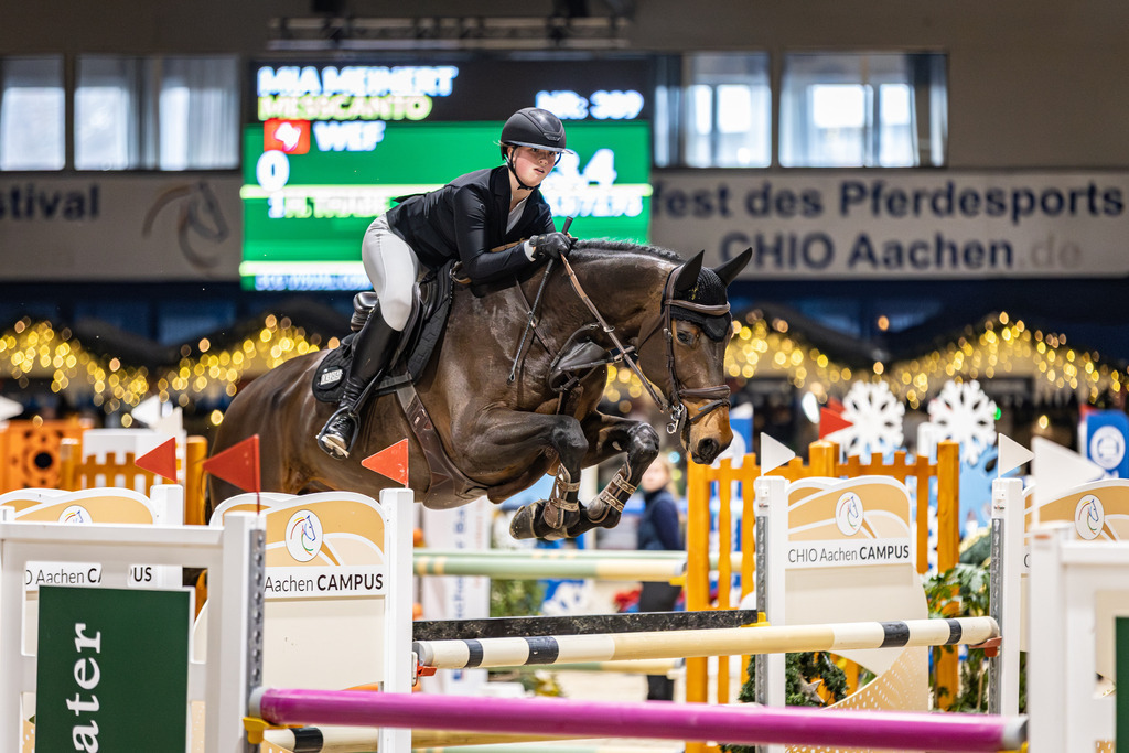 126A0158 | jasminmetznerfotografie