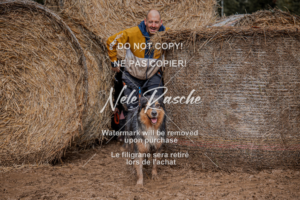 nelerasche_Hunsrück_So13-Ende_137 | nelerasche