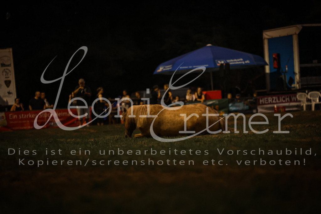 SaShow00295 | Leoni Ertmer Photography - Realisiert mit Pictrs.com