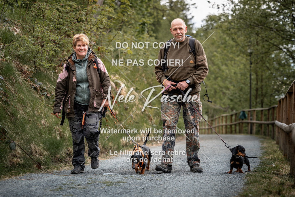 nelerasche_SaAbends_06 | nelerasche