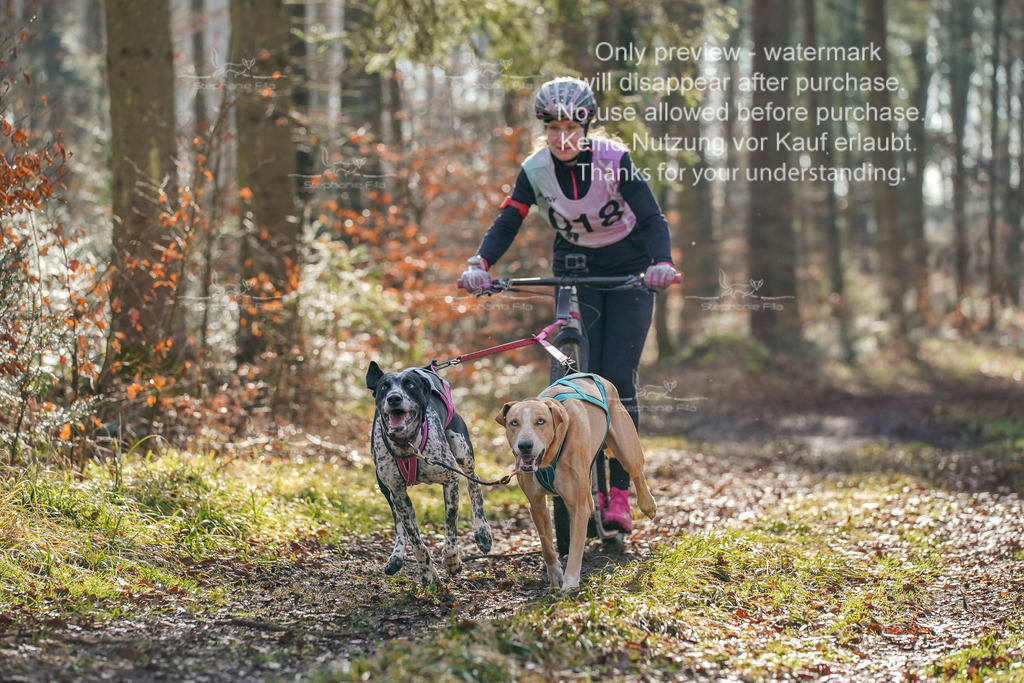 So_Scooter_2-21 | stephaniefillaphotographie - Realisiert mit Pictrs.com