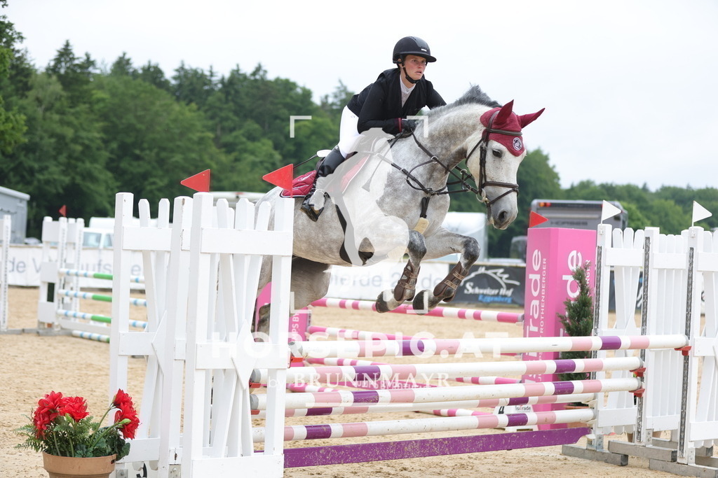 0P6A1337 | Willkommen bei Brunnmayr - Design & Fotografie – Ihrem Spezialisten für Reitturniere und Pferdeveranstaltungen in Oberösterreich, Salzburg und Bayern! Seit über 17 Jahren sind wir leidenschaftlich dabei.