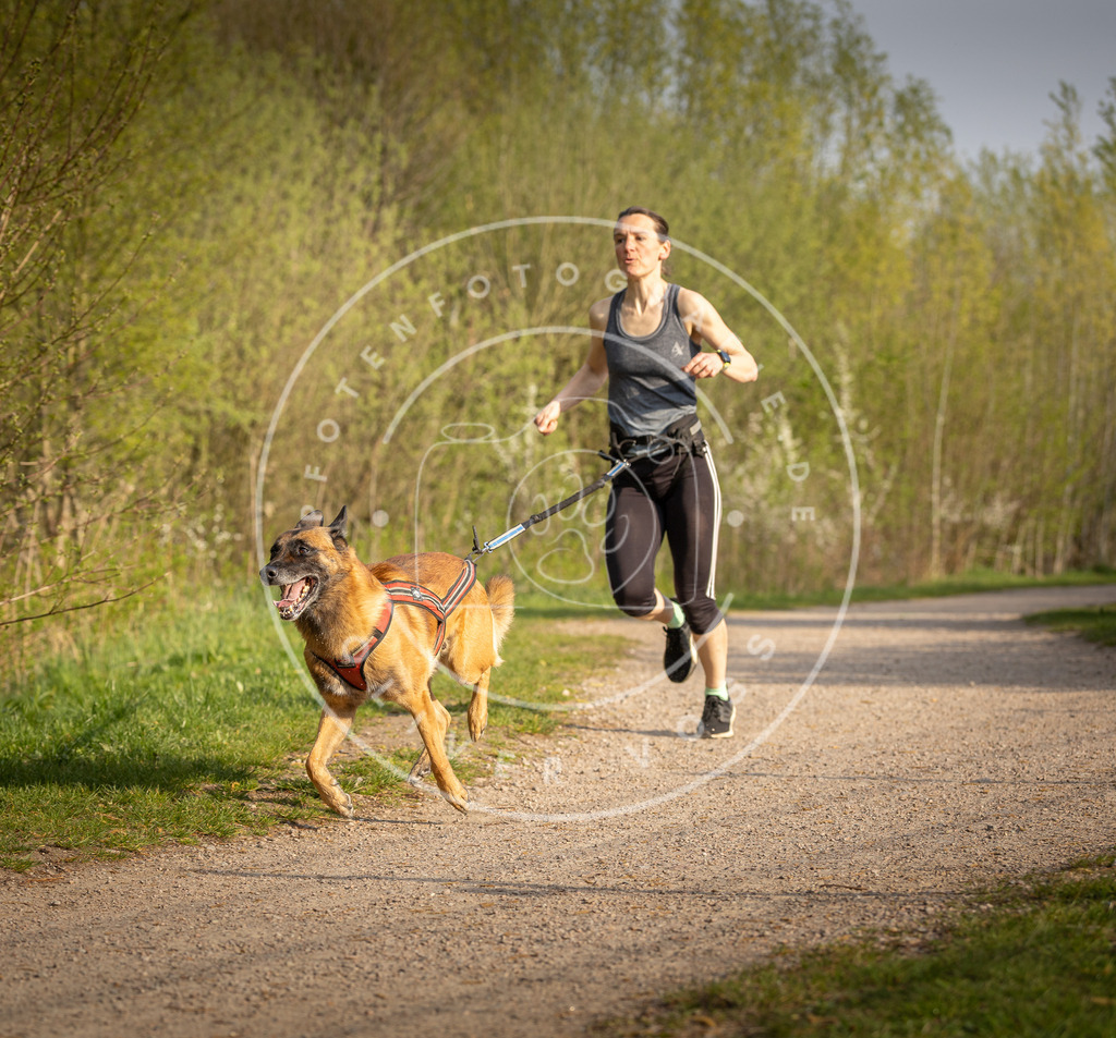 Pfotenfotografie_DV3A4572 | Hundefotografie, Tierfotograf, Pfotenfotografie, Fotoshooting Hund, Hunde Portrait, Hundesport, Hundeportraits, Heideshooting, Hunde, Sportfotograf, Hundefotograf, Turnierhundsport, THS,  - Realisiert mit Pictrs.com