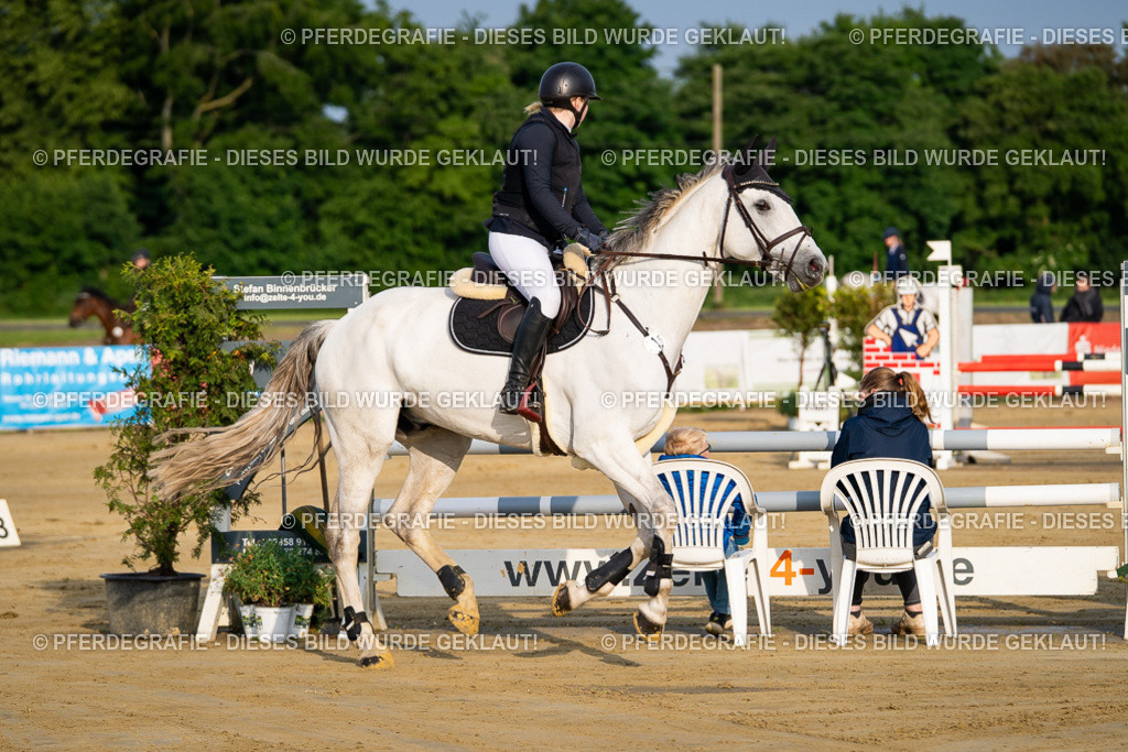 DSC01973 | Pferdegrafie