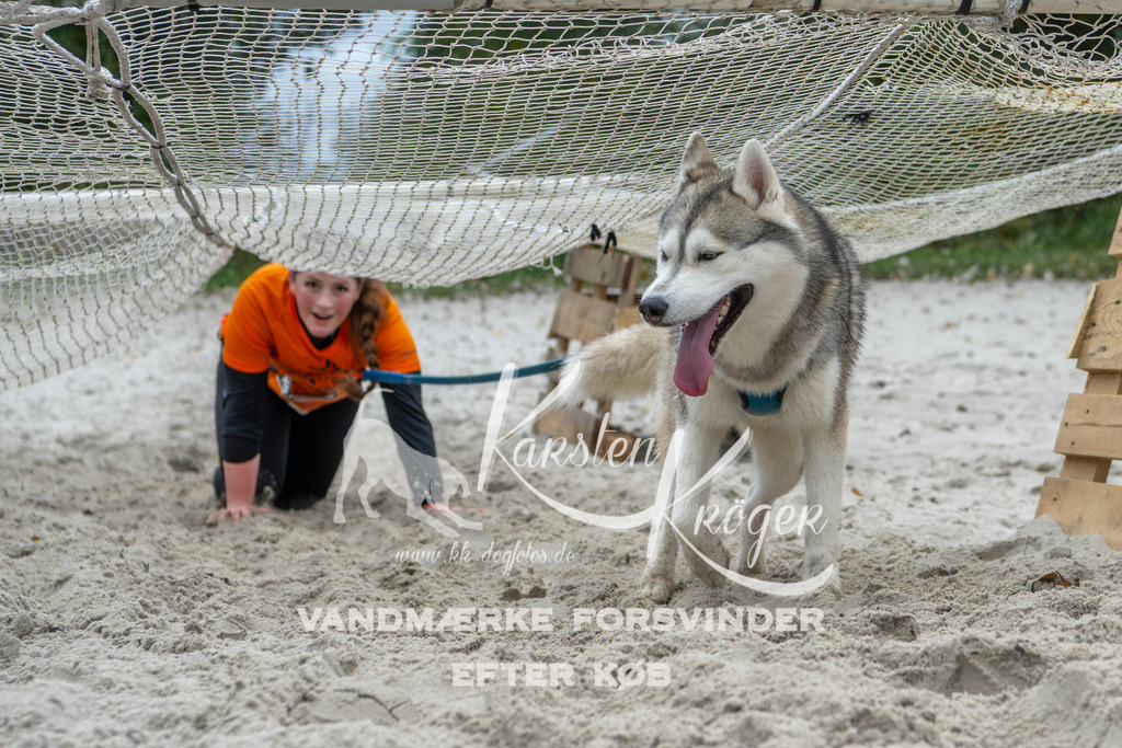 1050_ZZ95013 | kk-dogfotos