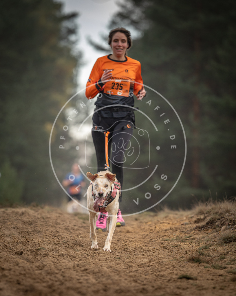Pfotenfotografie_DV3A5553 | Hundefotografie, Tierfotograf, Pfotenfotografie, Fotoshooting Hund, Hunde Portrait, Hundesport, Hundeportraits, Heideshooting, Hunde, Sportfotograf, Hundefotograf, Turnierhundsport, THS,  - Realisiert mit Pictrs.com