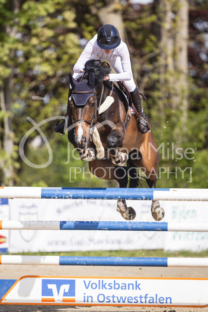 260503_Spenge_7_M2-Spr-m-steig-Anf-745 | Deine schönsten Turniermomente als professionelle Fotos! Entdecke hochwertige Pferdesport-Fotografie im Online-Shop. Jetzt Fotos finden & bestellen!