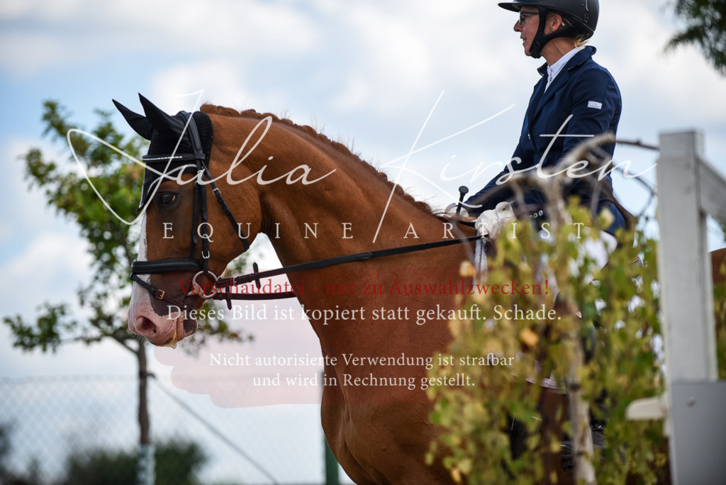 DSC_9178 | Pferde- und Turnierfotografie in Westsachsen. Pferdeportraits, Auftragszeichnungen und intuitive Kunst.
