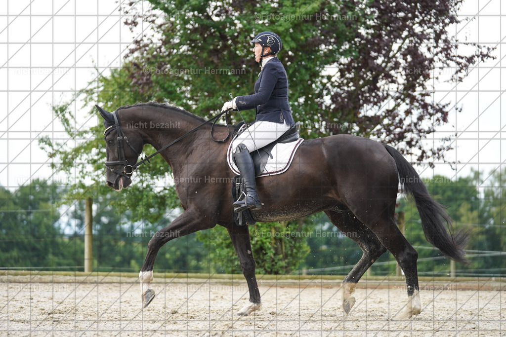 20230826-FAH04455 | Forstinning, 2023, Dressurturnier, Turniersportbilder, Turnierfotografen Bayern, Fotoagentur Herrmann, Reitsportfotografie, Turnierbilder