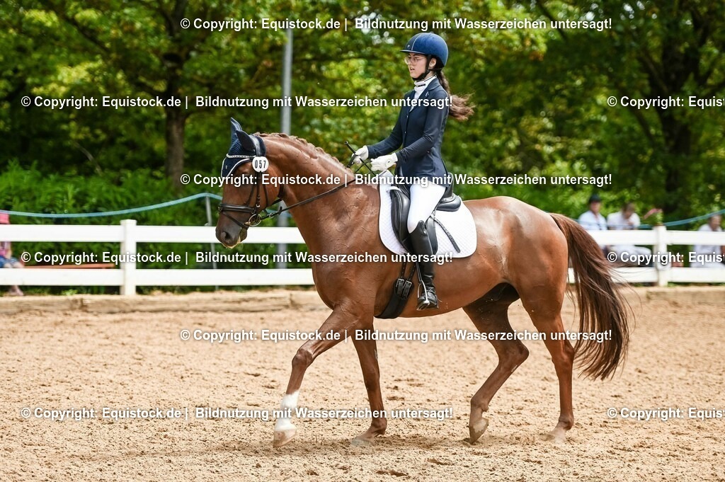 20230716_03_Dressurprfg. Kl.L - Tr._0338 | equistock