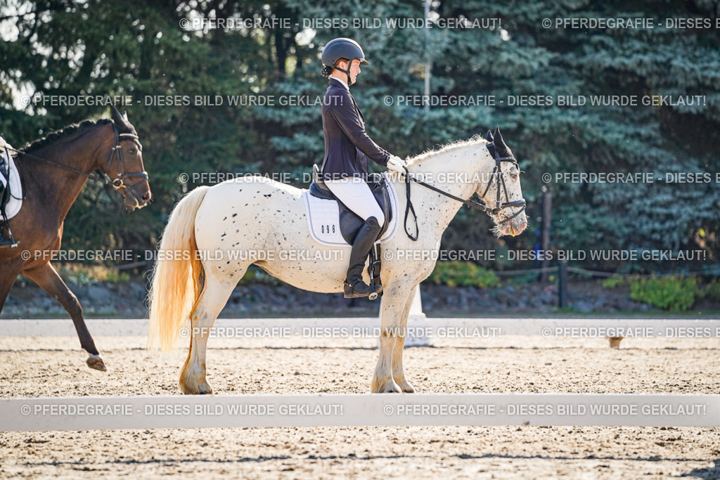 DSC09325 | Pferdegrafie