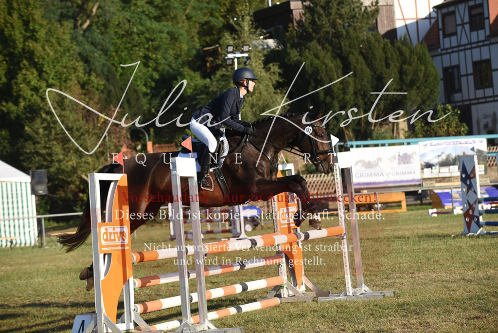 DSC_4879 | Pferde- und Turnierfotografie in Westsachsen. Pferdeportraits, Auftragszeichnungen und intuitive Kunst.