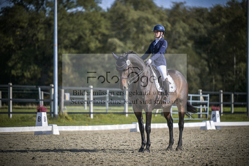 DOS_2606 | Entdecke hochwertige Reitturnierfotos von Foto Oger. Professionell, emotional und authentisch – jetzt Lieblingsmomente im Shop bestellen.Deutschlandweite Turnierfotografie. - Realisiert mit Pictrs.com