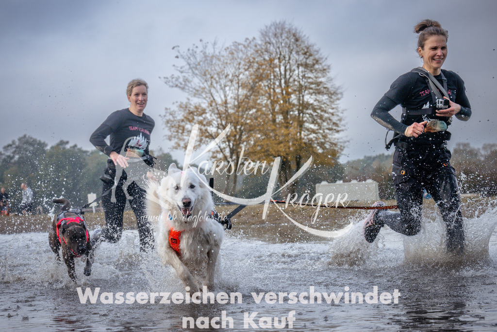 1138_ZZ95723 | kk-dogfotos