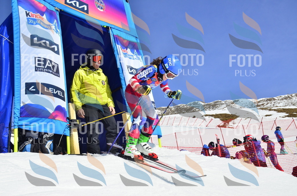 _ELE0228 | holidayphoto