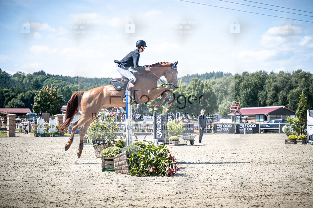 DOS_3643 | Entdecke hochwertige Reitturnierfotos von Foto Oger. Professionell, emotional und authentisch – jetzt Lieblingsmomente im Shop bestellen. - Realisiert mit Pictrs.com