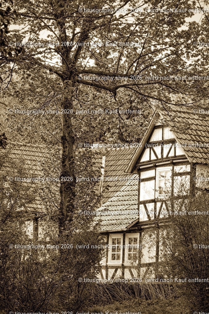 2022-04-29_FT-125_Oberkaufungen_DSC_0600_bearbeitet_pe-02 (Kopie) | titusgraphy-shop: Geschenkideen mit Qualitätsfotos. titusgraphy-shop: gift ideas with quality photos. titusgraphy-shop: idées cadeaux avec photos de qualité.  - Realisiert mit Pictrs.com