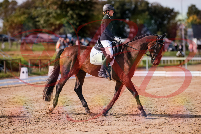 2026_10_03_Siefer-Hof_122808_Z81_26384779 | Professionelle Reitsport-, Turnier- und Eventfotografie von Robert Broda. Galerien mit ausgewählten und bearbeiteten Bildern direkt online ansehen und bestellen.